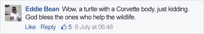 turtle-shell-repair-vet-reunited-old-patient-hocking-hills-animal-clinic-7 turtle-shell-repair-vet-reunited-old-patient-hocking-hills-animal-clinic-7