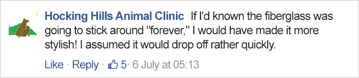 turtle-shell-repair-vet-reunited-old-patient-hocking-hills-animal-clinic-8