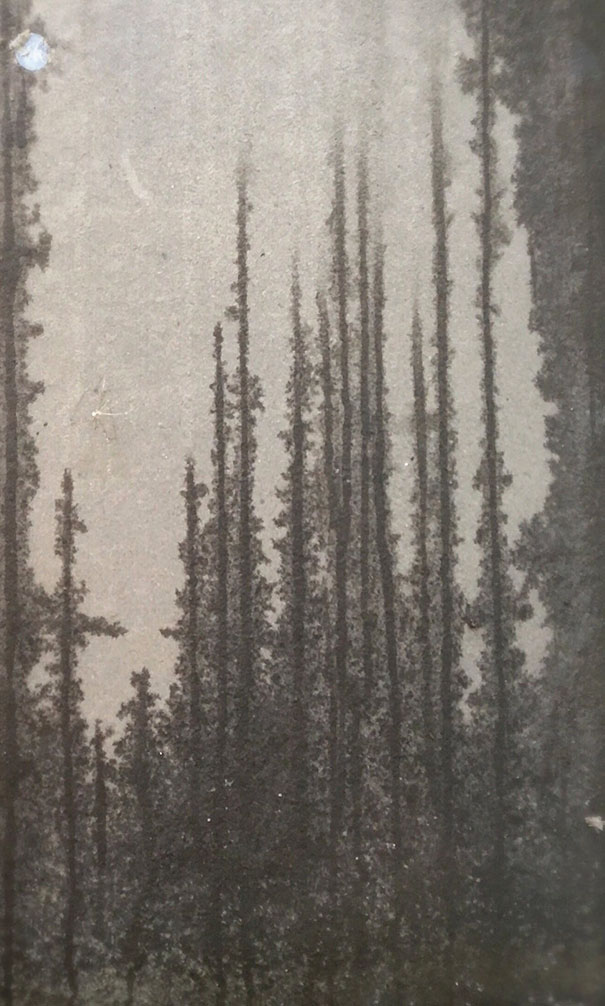 Left The Chipboard Backing From A Cheap Cabinet Out In The Rain Last Night