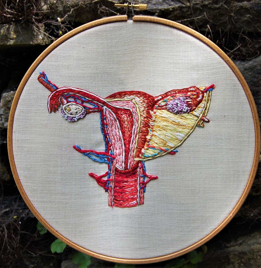 Anatomical embroidery of the female reproductive system.
