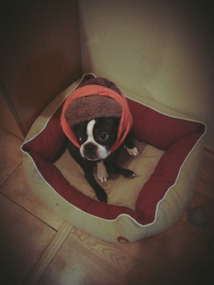 Just Several Minute In Another Room.......:d