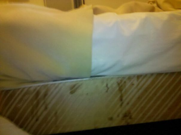 It Was Colonel Mustard, In My Hotel Room, With A Candlestick. Eww. Nice Find In The Morning, Eh?