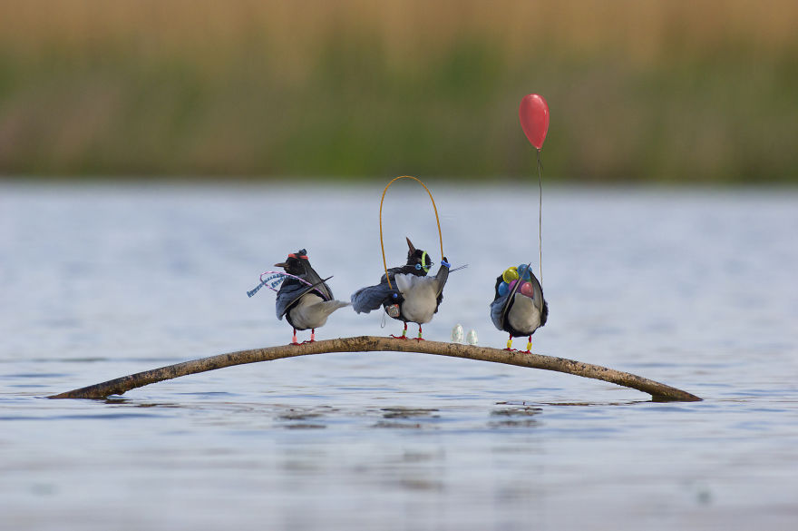 Be Birds 2.0: What Happens When The Two Artist Combine Their Skills To Create Fun Art ?