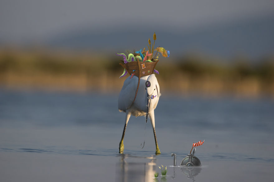 Be Birds 2.0: What Happens When The Two Artist Combine Their Skills To Create Fun Art ?