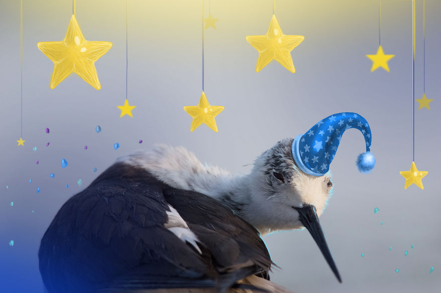 Be Birds 2.0: What Happens When The Two Artist Combine Their Skills To Create Fun Art ?