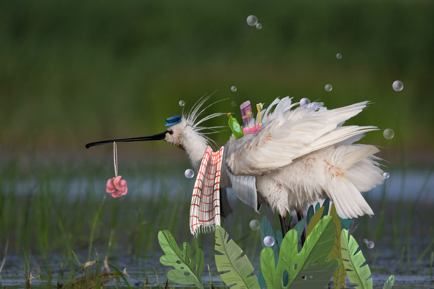 Be Birds 2.0: What Happens When The Two Artist Combine Their Skills To Create Fun Art ?