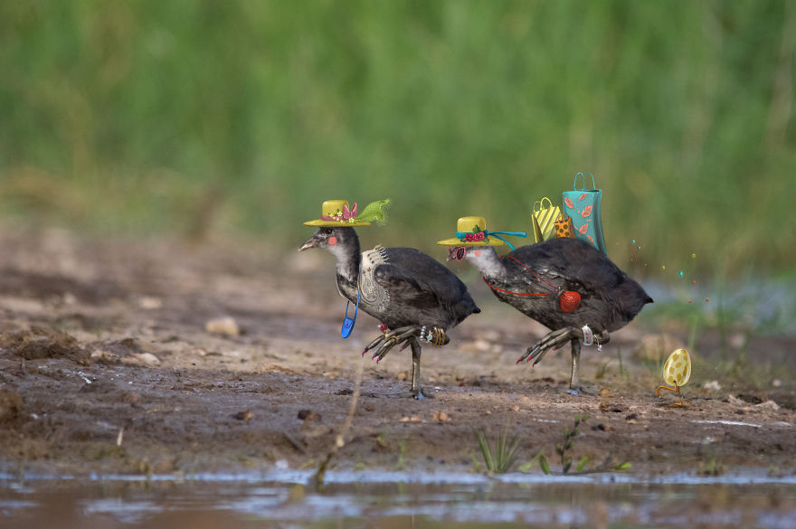 Be Birds 2.0: What Happens When The Two Artist Combine Their Skills To Create Fun Art ?