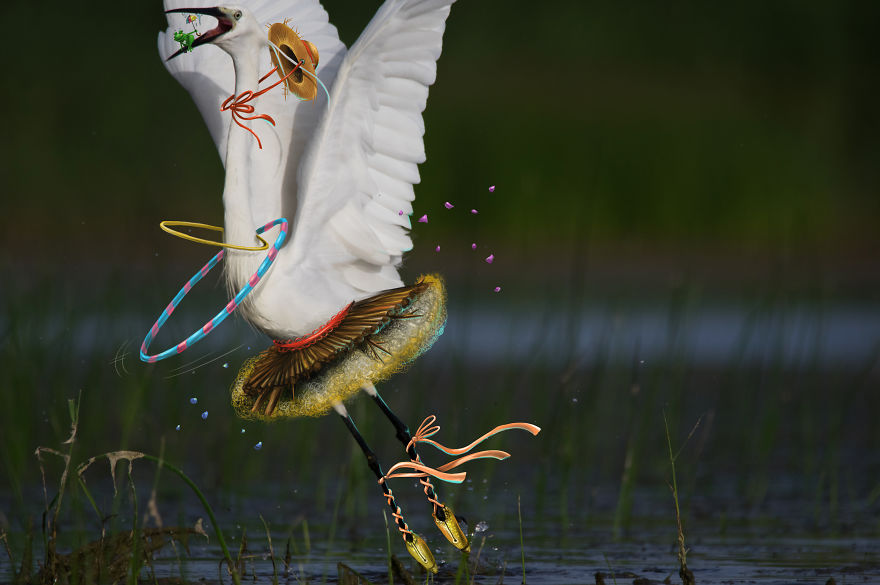 Be Birds 2.0: What Happens When The Two Artist Combine Their Skills To Create Fun Art ?