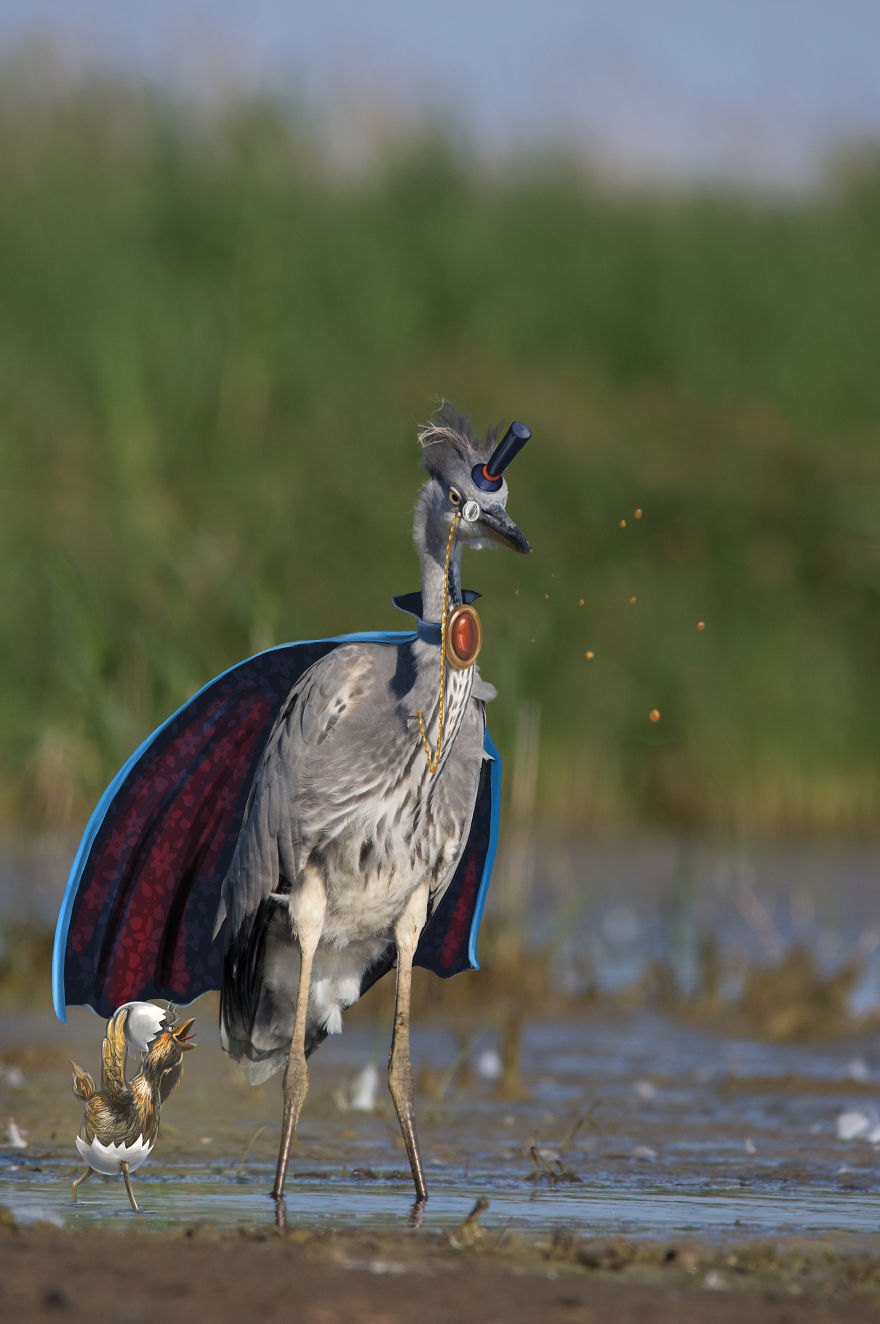 Be Birds 2.0: What Happens When The Two Artist Combine Their Skills To Create Fun Art ?