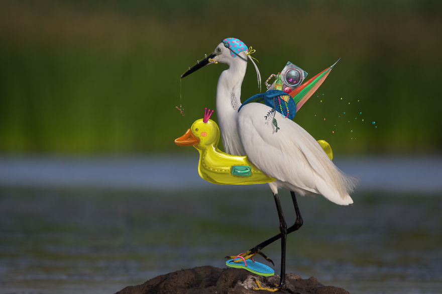 Be Birds 2.0: What Happens When The Two Artist Combine Their Skills To Create Fun Art ?