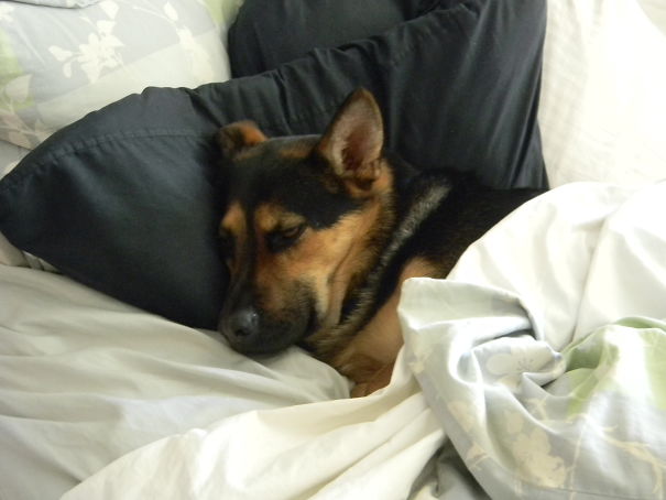 Would You Mind Getting The Light? Thanks