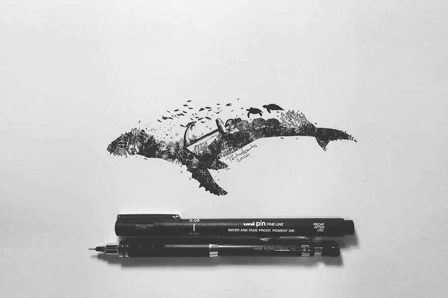 Wild Silhouette Series - Vast (Whale)