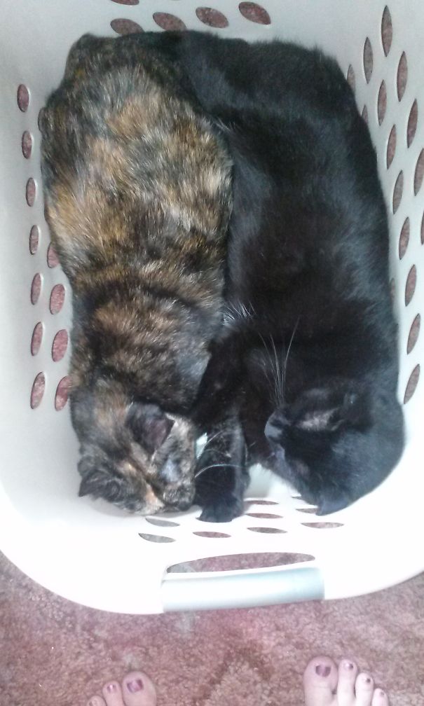 Found These Two Like This