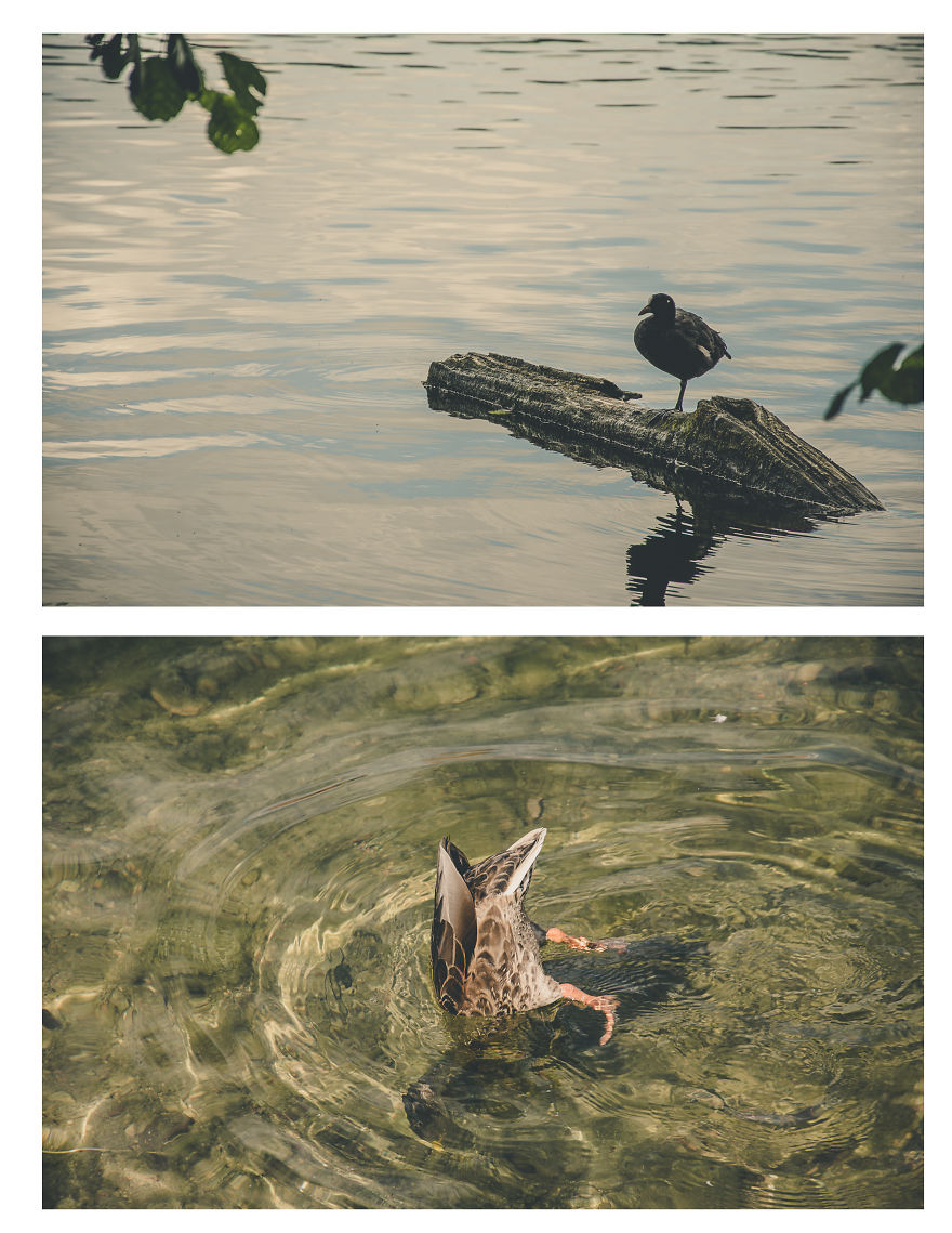 City Of Lakes And History - Trakai!