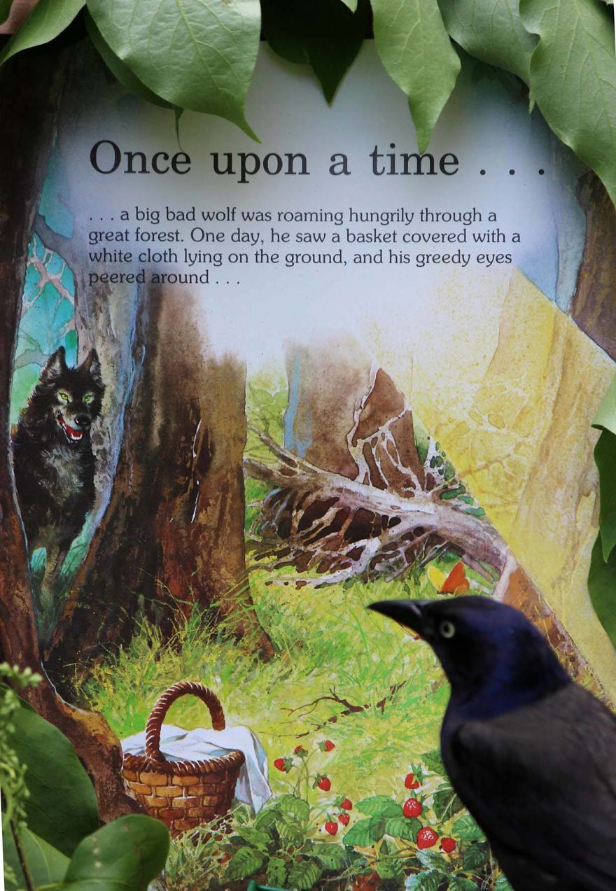 Artist Changes The Backdrop Of Her Birdhouse To Transform The Narrative Of How We View Art. Artist Changes The Backdrop Of Her Birdhouse To Transform The Narrative Of How We View Art.