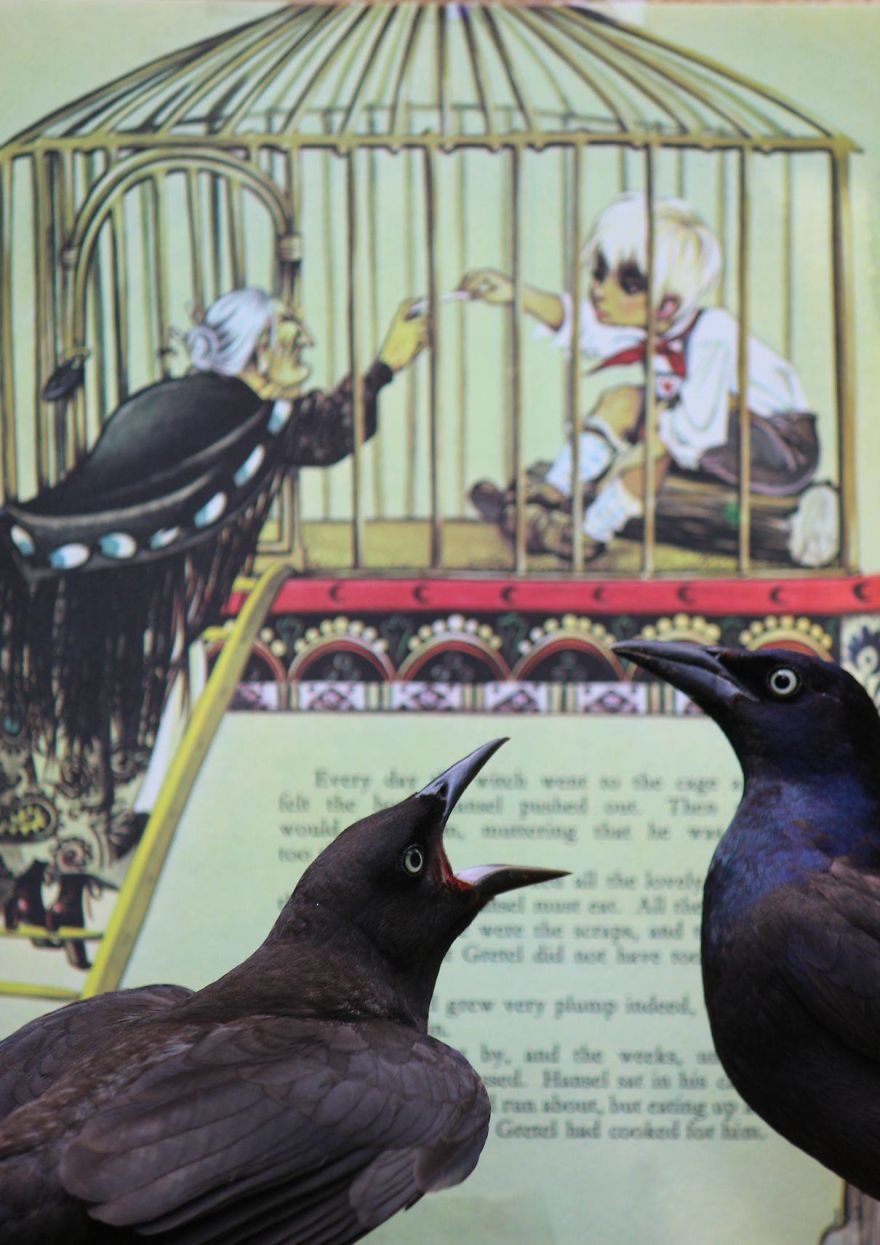 Artist Changes The Backdrop Of Her Birdhouse To Transform The Narrative Of How We View Art.