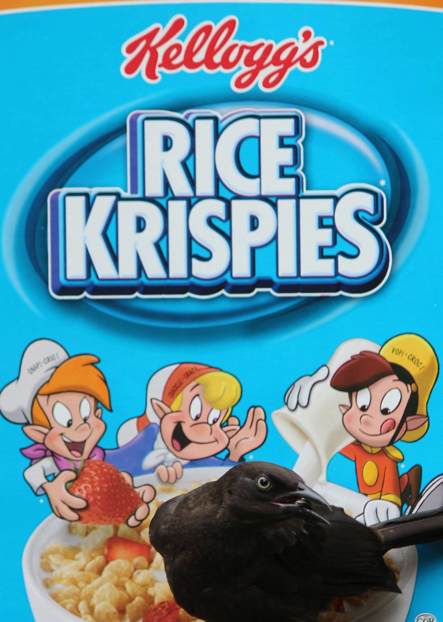 Artist Changes The Backdrop Of Her Birdhouse To Transform The Narrative Of How We View Art. Artist Changes The Backdrop Of Her Birdhouse To Transform The Narrative Of How We View Art.