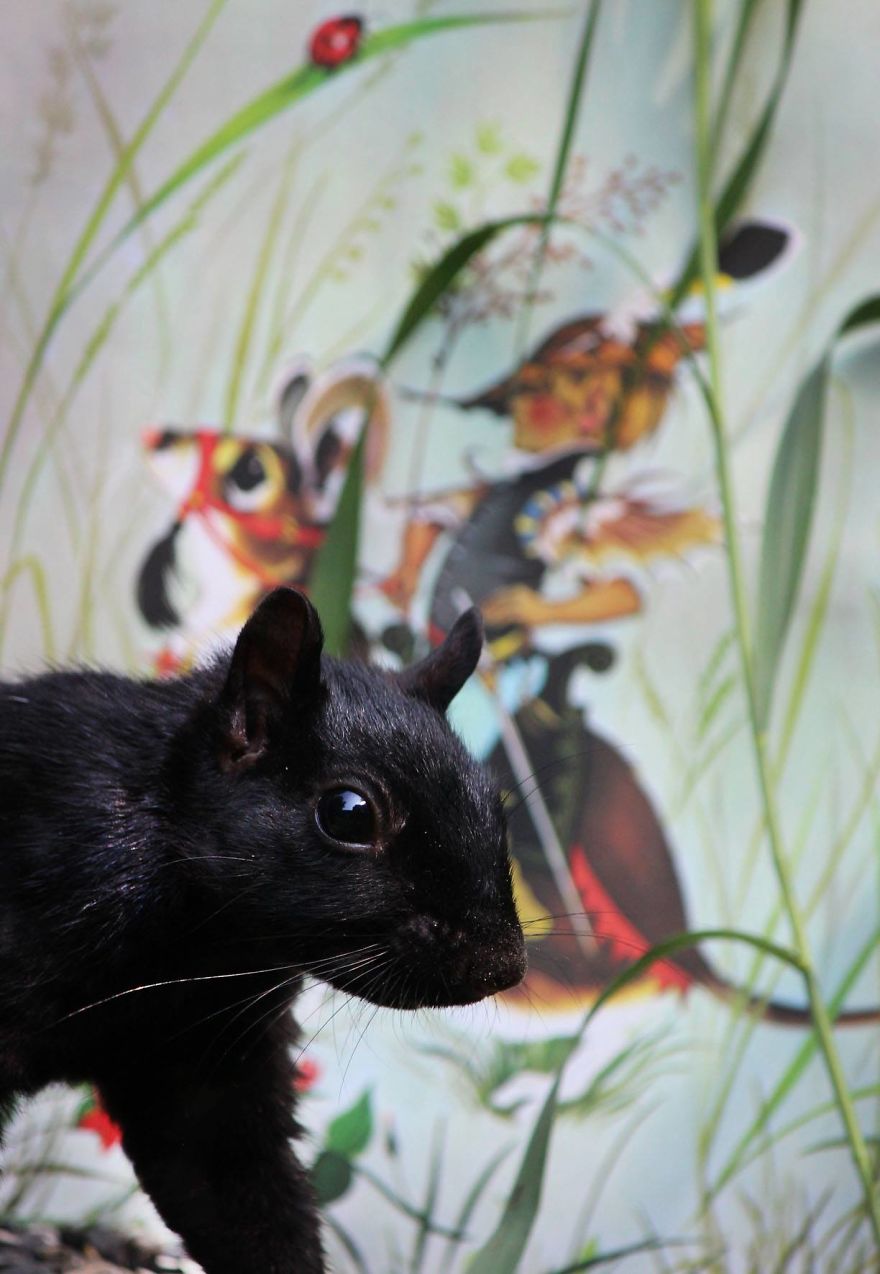 Artist Changes The Backdrop Of Her Birdhouse To Transform The Narrative Of How We View Art. Artist Changes The Backdrop Of Her Birdhouse To Transform The Narrative Of How We View Art.