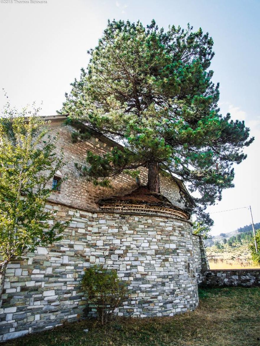 I Found A 100+ Year Old Tree Growing Inside A Church In Greece I Found A 100+ Year Old Tree Growing Inside A Church In Greece