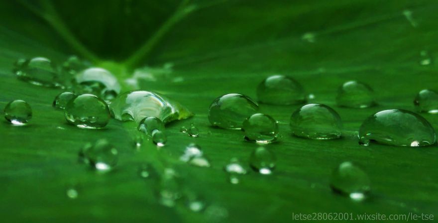 Drops Photos Taken By A Cheap Smartphone Drops Photos Taken By A Cheap Smartphone