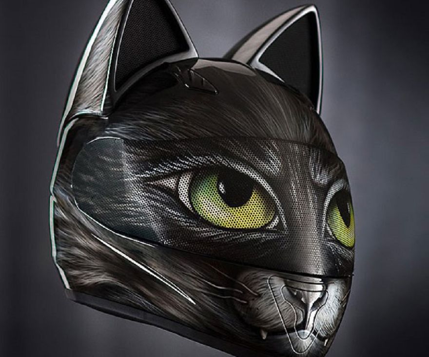 11 Hilarious Ways To Surround Yourself With Cats 11 Hilarious Ways To Surround Yourself With Cats