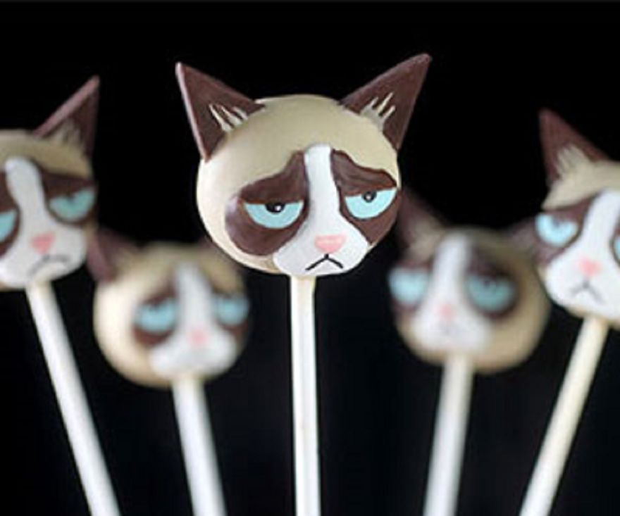 11 Hilarious Ways To Surround Yourself With Cats 11 Hilarious Ways To Surround Yourself With Cats