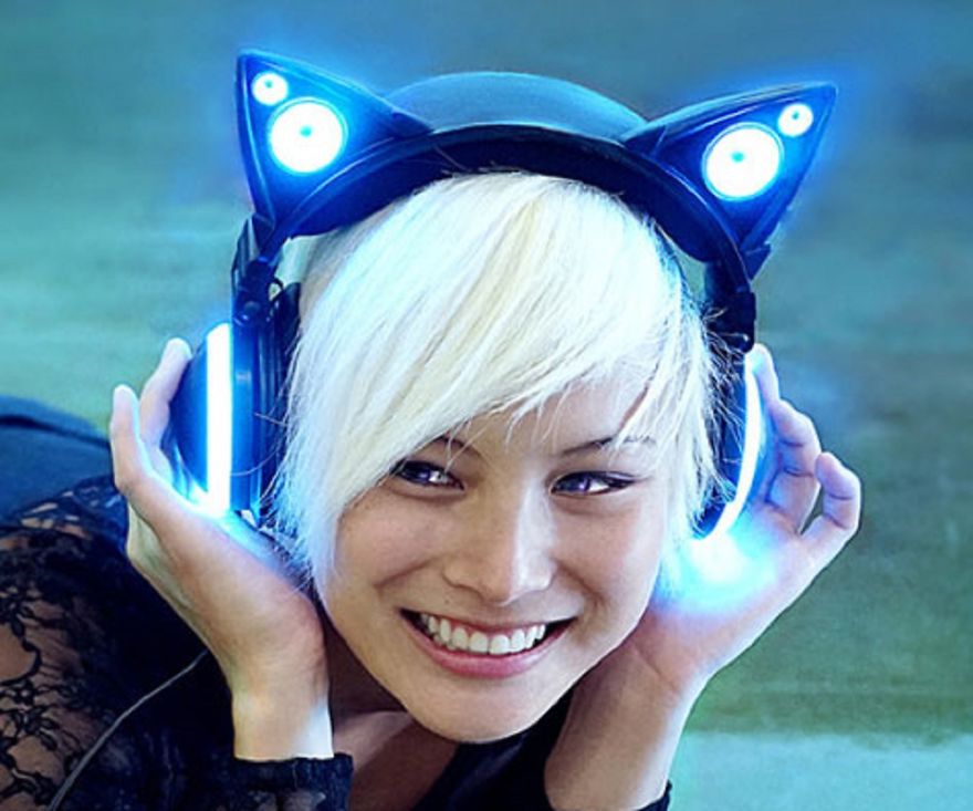 11 Hilarious Ways To Surround Yourself With Cats