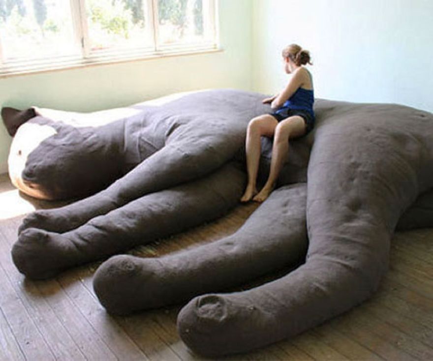 11 Hilarious Ways To Surround Yourself With Cats 11 Hilarious Ways To Surround Yourself With Cats