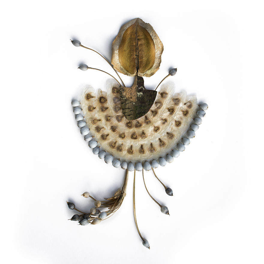 Artist Redefines Floral Art From Her Remote Island