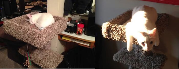 Doofus 1 Year Later!