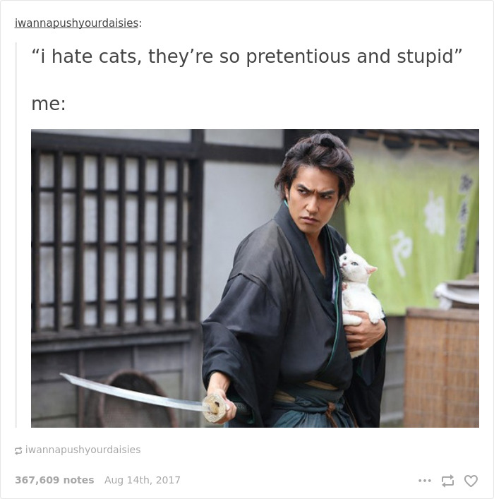 Funny-cat-pics-tumblr