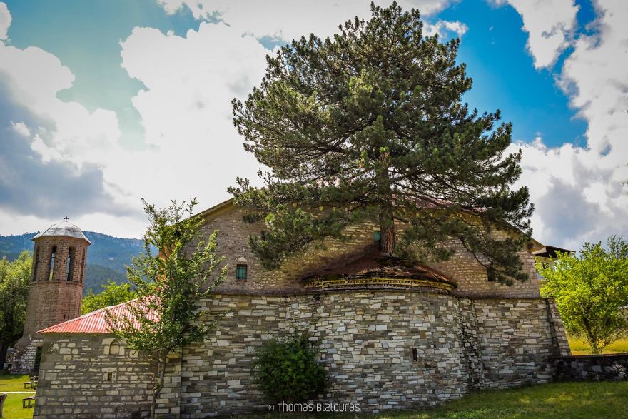 I Found A 100+ Year Old Tree Growing Inside A Church In Greece