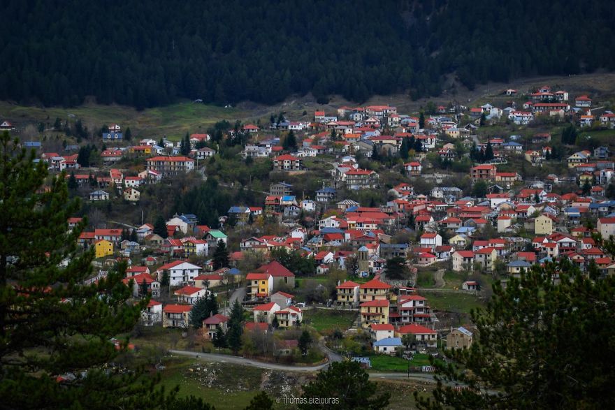 I Found A 100+ Year Old Tree Growing Inside A Church In Greece I Found A 100+ Year Old Tree Growing Inside A Church In Greece