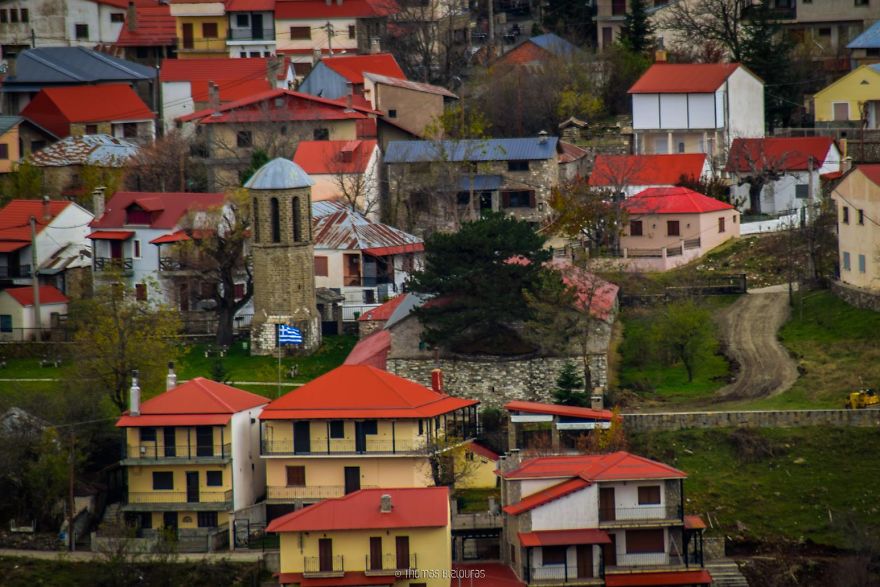 I Found A 100+ Year Old Tree Growing Inside A Church In Greece I Found A 100+ Year Old Tree Growing Inside A Church In Greece