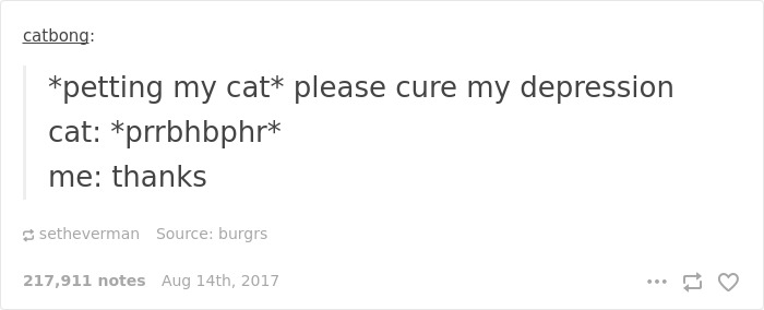 Funny-cat-pics-tumblr