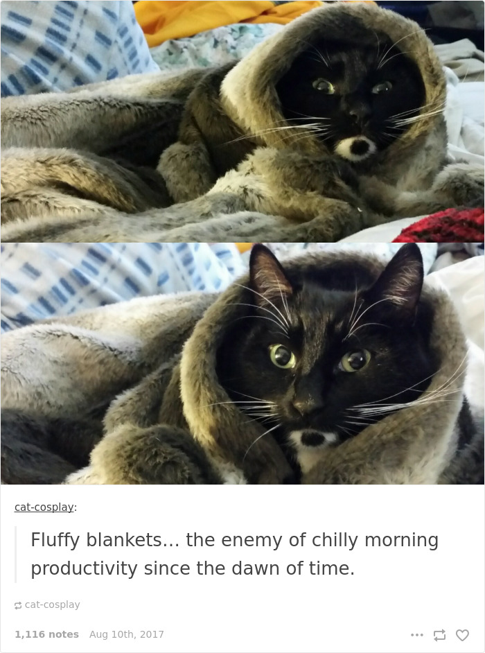 Funny-procrastination-memes