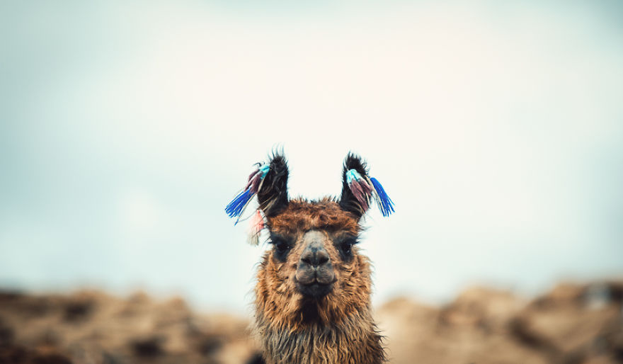 4 Days In Bolivia – The Pachamama In All Her Beauty 4 Days In Bolivia – The Pachamama In All Her Beauty