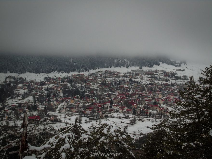 I Found A 100+ Year Old Tree Growing Inside A Church In Greece