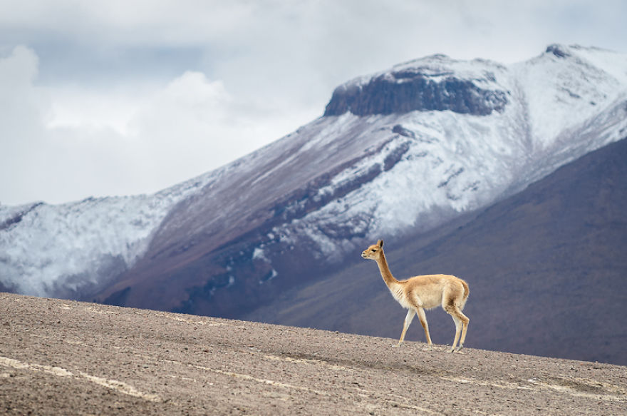 4 Days In Bolivia &ndash; The Pachamama In All Her Beauty