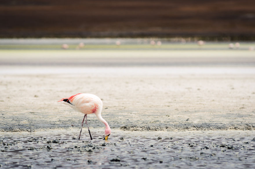 4 Days In Bolivia &ndash; The Pachamama In All Her Beauty