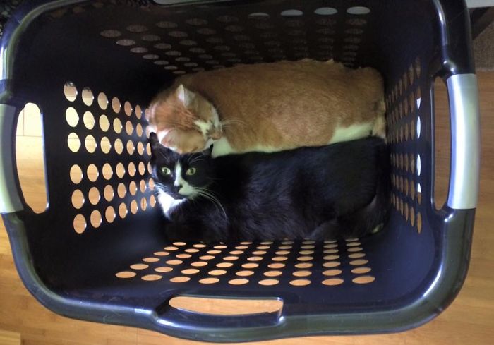 If We Perfectly Fit...