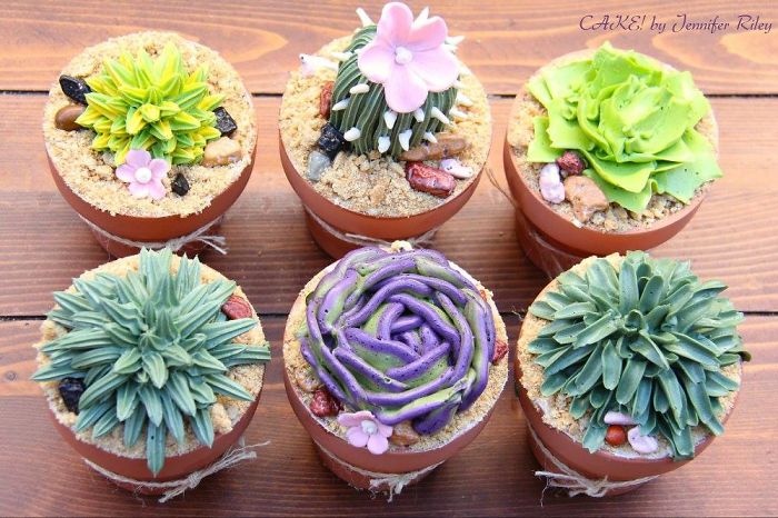 Succulent Cupcakes