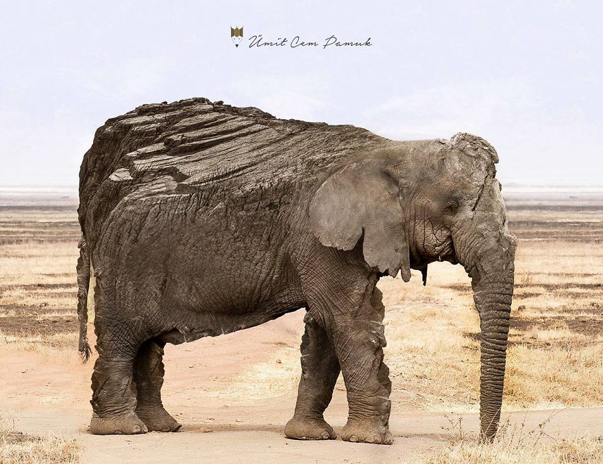 15 Photo Manipulations By Umit Cem Pamuk