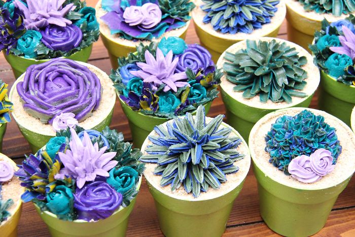 Succulent Cupcakes
