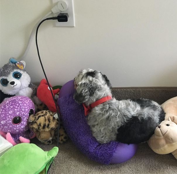 He Was Camouflaged. Took A Minute To Find Him.