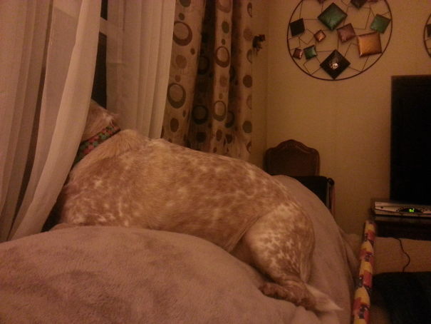 Favorite Place To Sit At Grandmas...