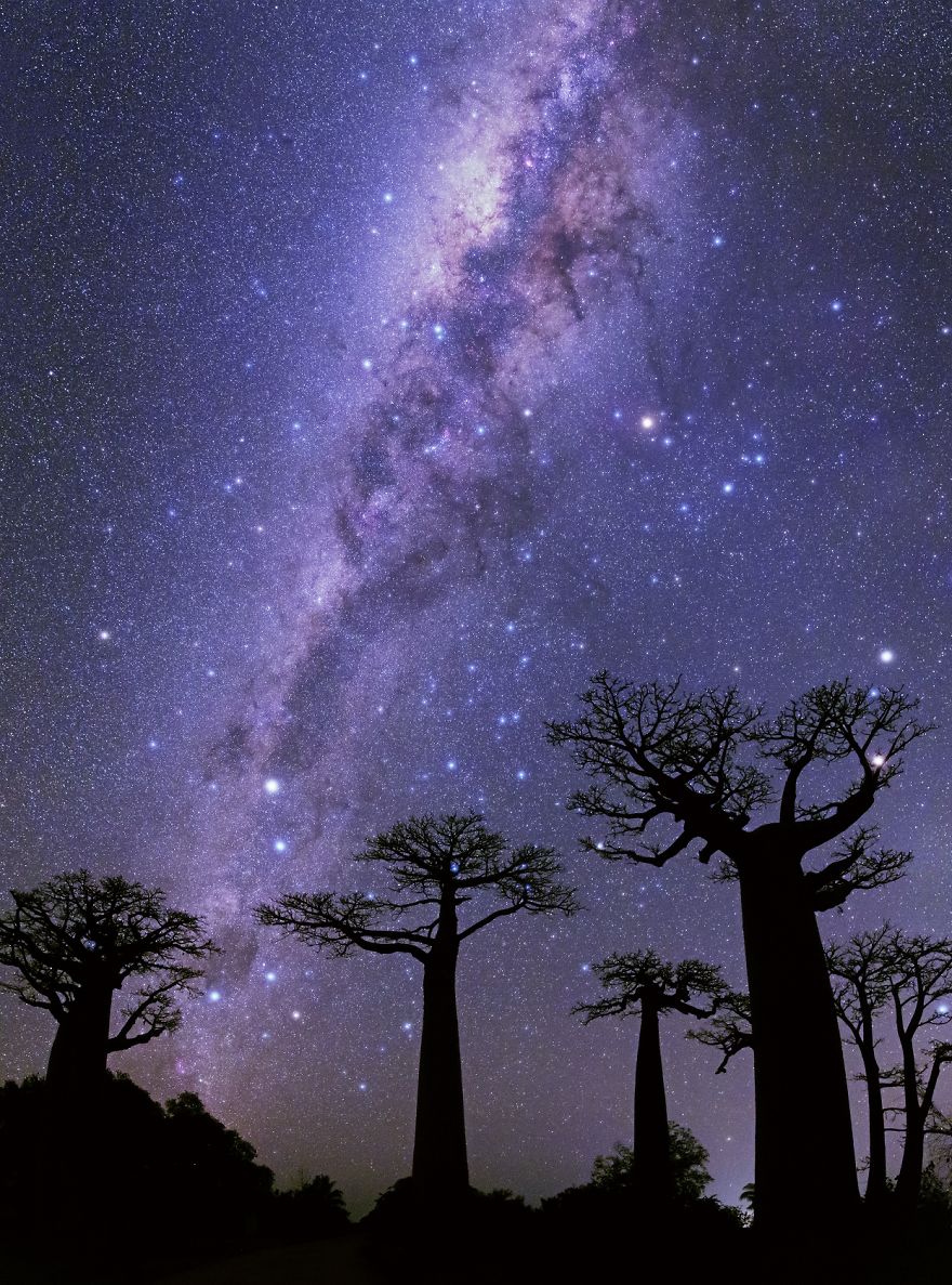 Milky Ways Over Baobabs ©2014m.t. Gouchkanlu