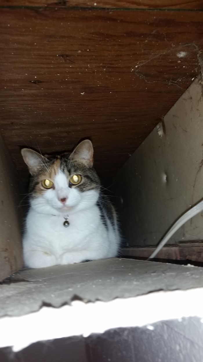 If I Goes, I Sits (Inside Ceiling)