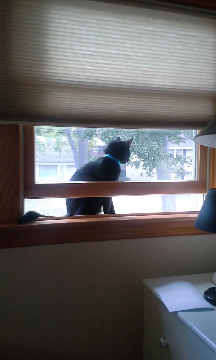 If I Fits, I Sits...with A View.