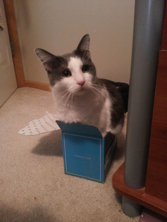 I Can Help Send Christmas Cards